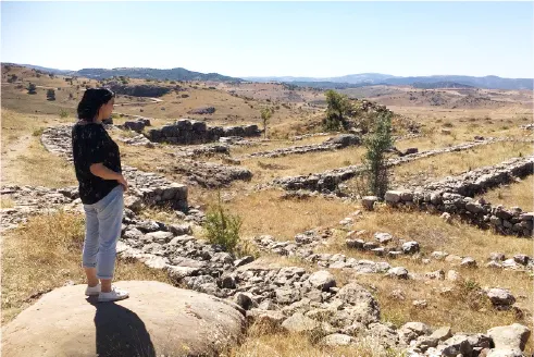 フィールドワーク時代