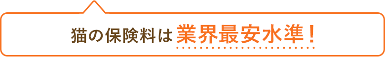 猫の保険料は業界最安水準!