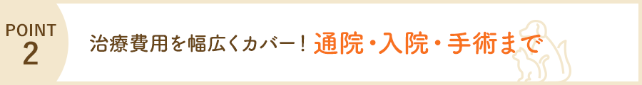 POINT2 治療費用を幅広くカバー!通院・入院・手術まで
